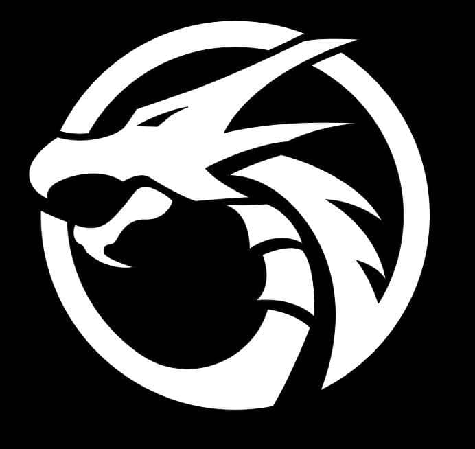 Dragon Spirit Martial Arts