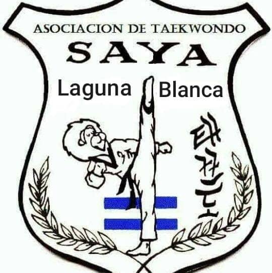 Escuela de Taekwondo Municipal Saya Wang