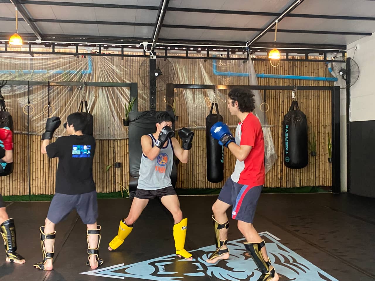 Tiger Eye MMA