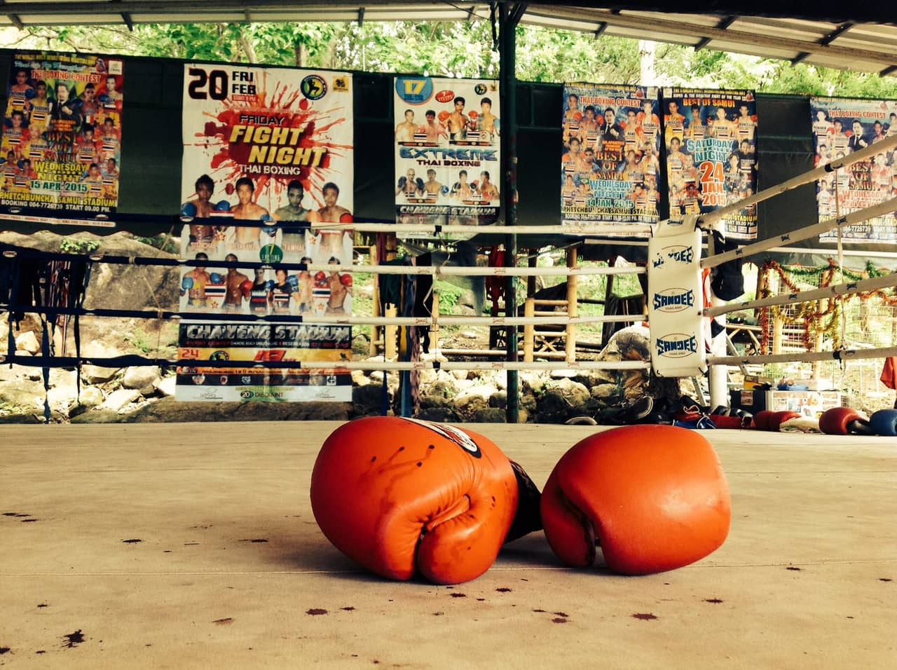 Tom Muay Thai