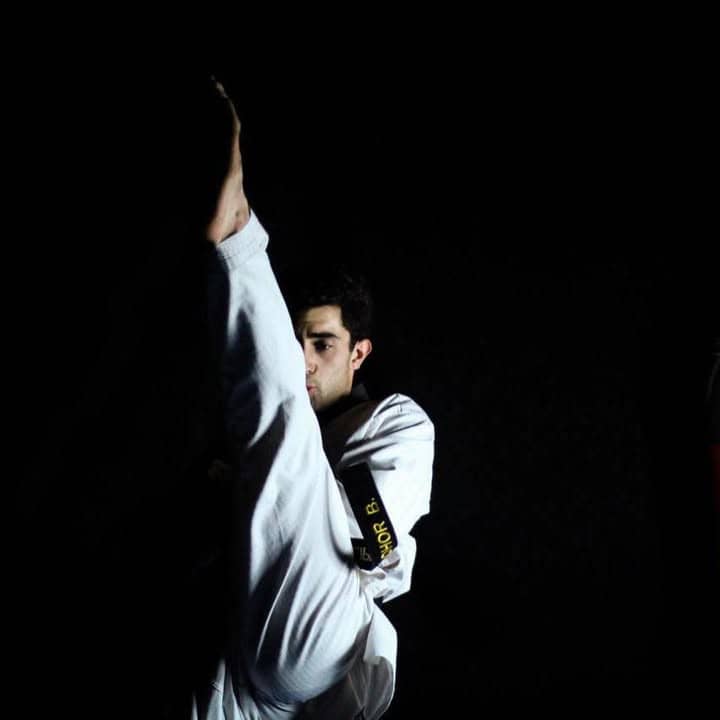 Taipán taekwondo