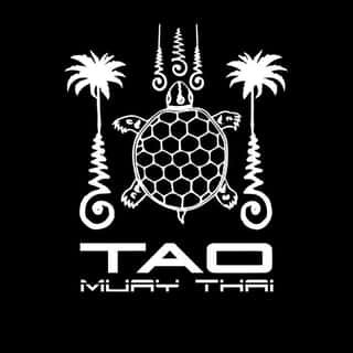 Tao Muay Thai Wichit logo
