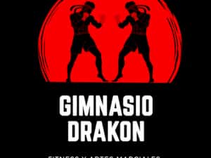 Gimnasio Drakon logo