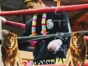 Muay Thai The Jungle