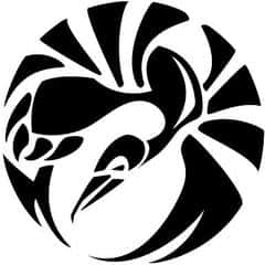 29 Degrees of Gung Fu logo