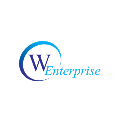 World Enterprise logo